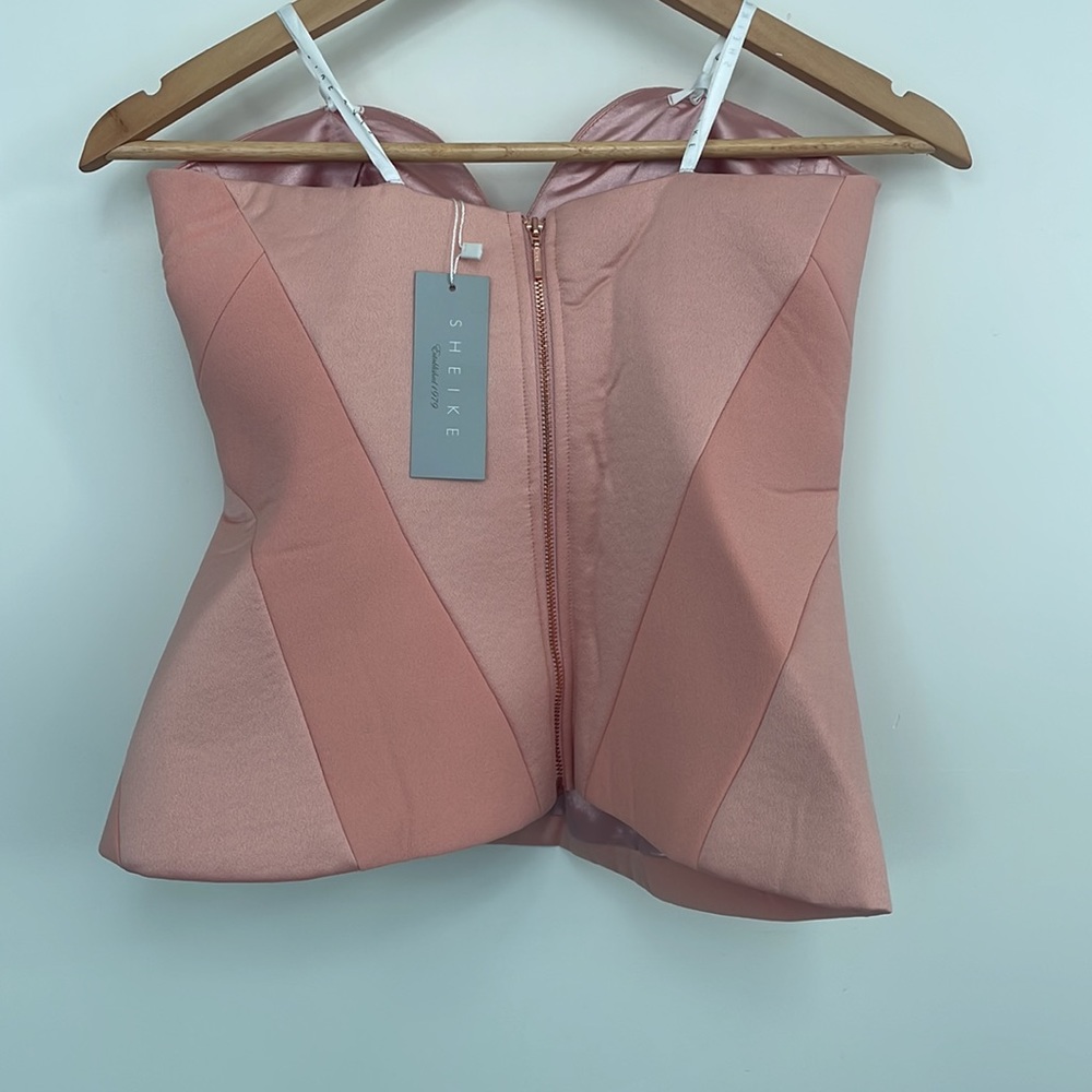 Starlet Bustier In Salmon - Picture 2 of 6
